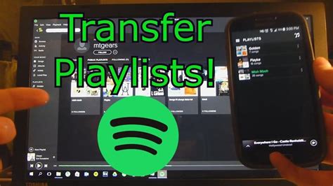 How to Transfer Spotify Playlist to Amazon Music: A Symphony of Digital Migration