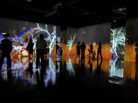 what is immersive art and how does it capture the viewer's senses?