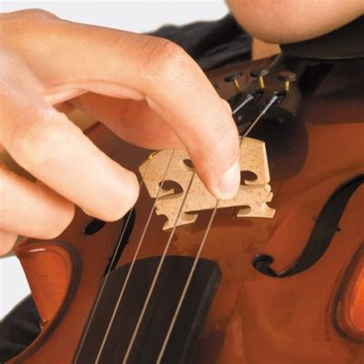 What is Pizzicato in Music: A Delve into the World of Violin Bow Technique